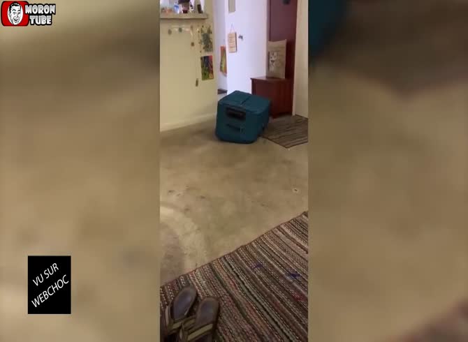 Video :She chuckles at her partner, who is killed a few hours after being imprisoned in a suitcase (Audience)